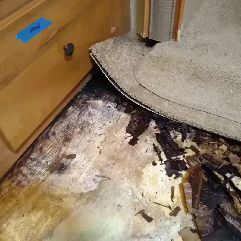 Wood Floor Water Damage in Neptune City, NJ